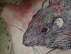 angela hughes artist australia brisbane